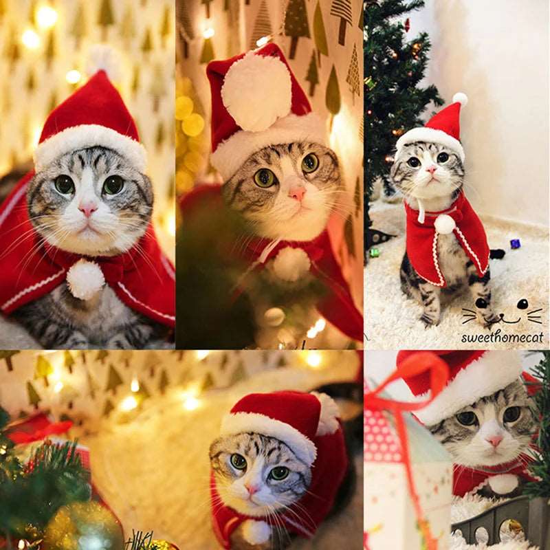 Christmas Cat Costume Suit - Festive Party Ensemble for Cats with Hat, Scarf, Cloak, Headband, and More