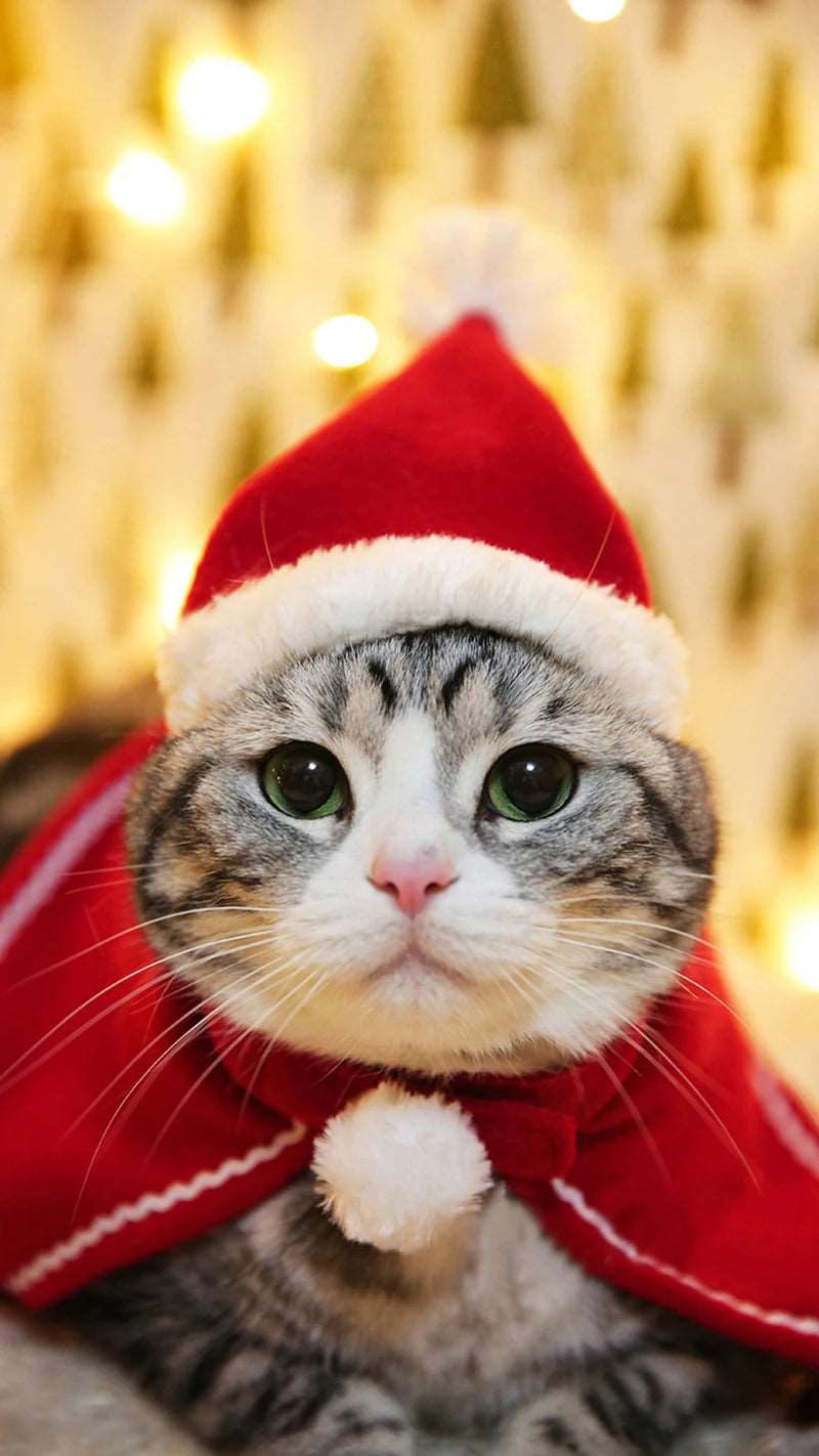 Christmas Cat Costume Suit - Festive Party Ensemble for Cats with Hat, Scarf, Cloak, Headband, and More