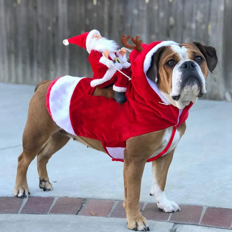 Adorable Santa Claus Riding Dog Christmas Coat - Warm & Festive